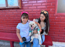 Bendición de Mascotas 2025