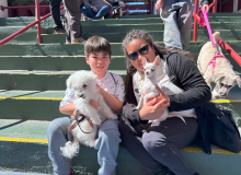 Bendición de Mascotas 2025