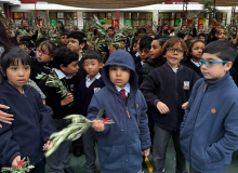 DOMINGO DE RAMOS 2026